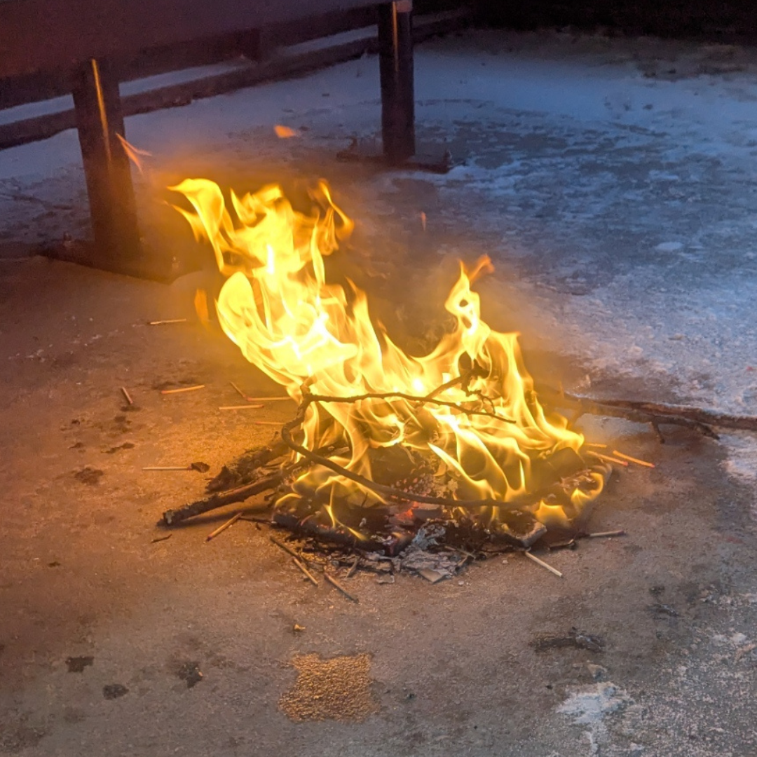 During our weekly walk in the forest near us, one of the resting areas had a small fire, and I thought it would be interesting to capture the sound, as I'm not often around a real fireplace in the wild.<br><audio controls src='audio/FireCraking.m4a'></audio>